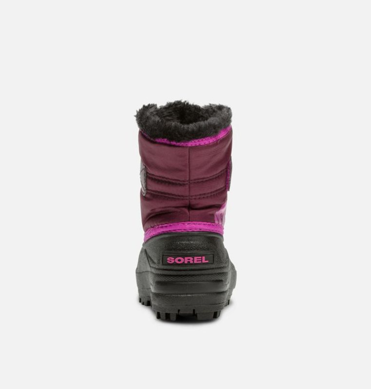 Kids Snow Boots Purple/Pink/Black - Sorel Toddler Commander™ - 640-GNTKFX